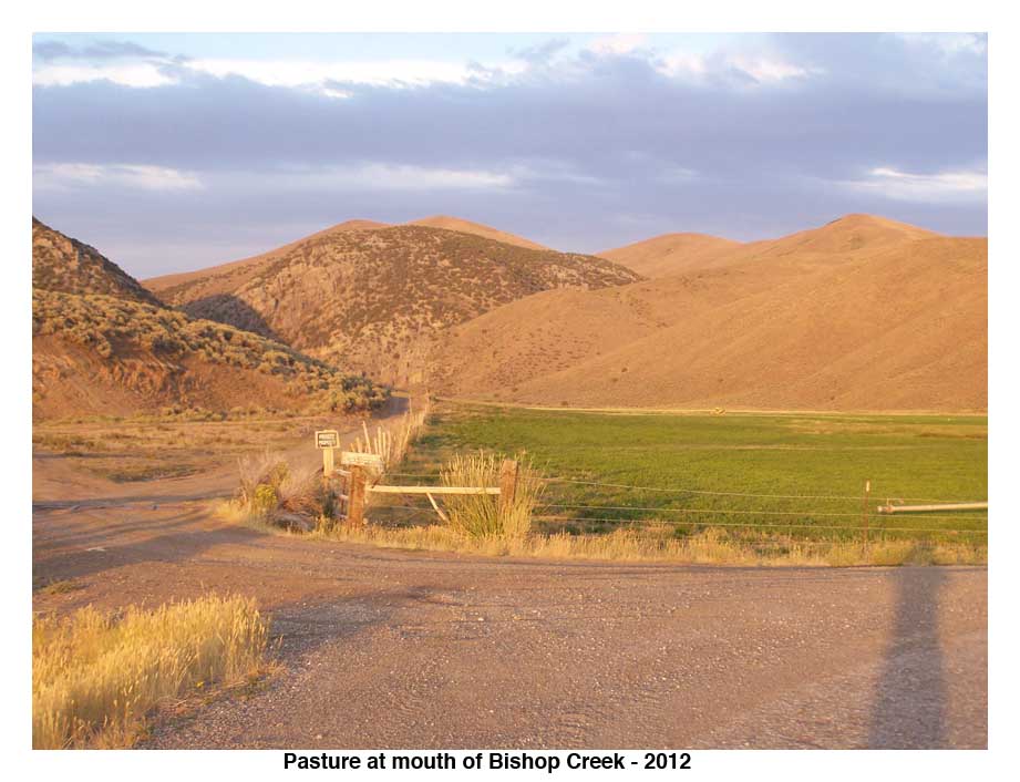 Bishop Creek, Nevada pasture 2012.