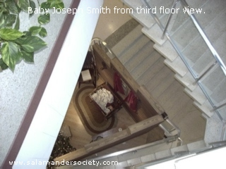 Baby Joseph Smith in crib 3rd floor view.