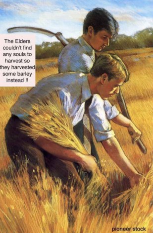 Pioneer stock harvest time.