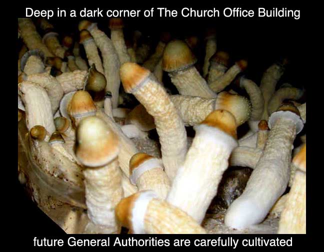 General Authorities cultivated in church office building.