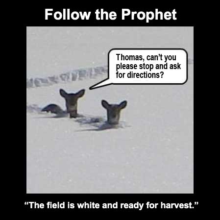 Follow the Prophet.