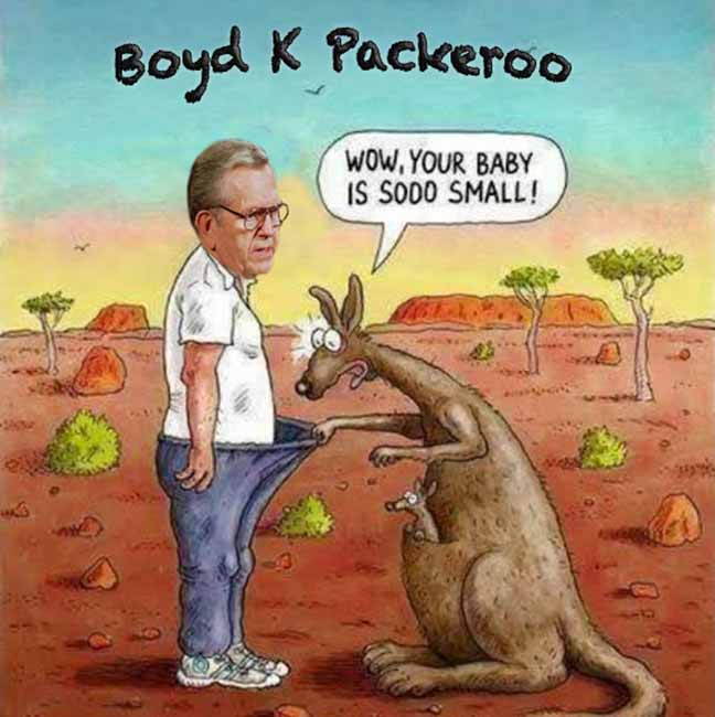 Boyd Packer Australia Kangeroo.