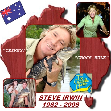 Steve Irwin collage.