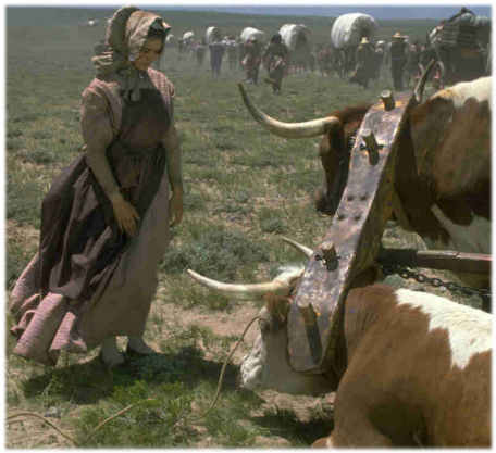 Kathleen Beller heals oxen.