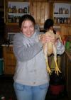 Grab the chicken.