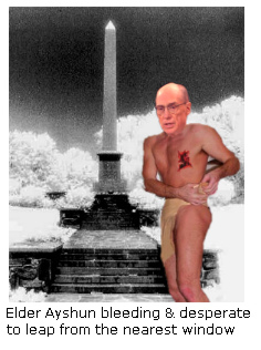 Elder Tran Substani Ayshun's stigmata chest wound.