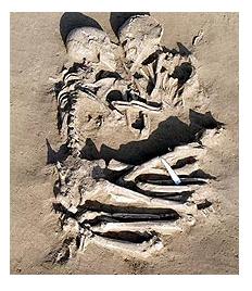 5000 year old couple found locked in five points of fellowship.