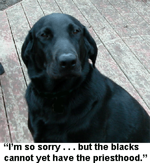 Mormon LDS black lab hold priesthood.