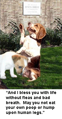 Mormon blessing by dog.