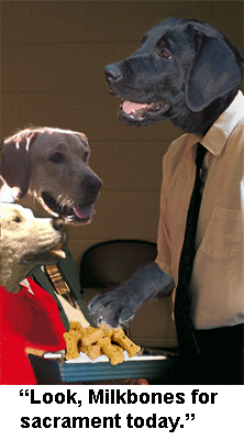 Mormon LDS dog biscuit sacrament.