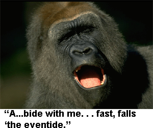 Mormon gorilla sings hymn.