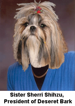 Deseret Book Sheri Dew shihzu.