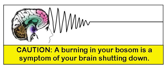 Mormon LDS Johnson's Army and Brigham's wives garments.