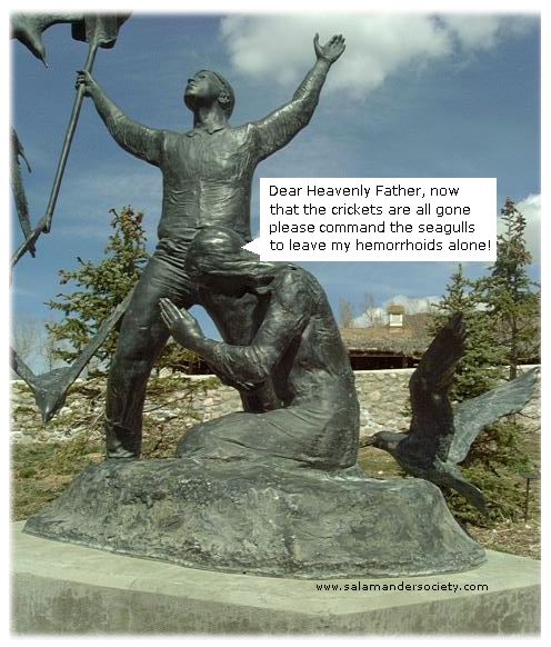 Mormon cricket and seagull go after hemmorhoids.