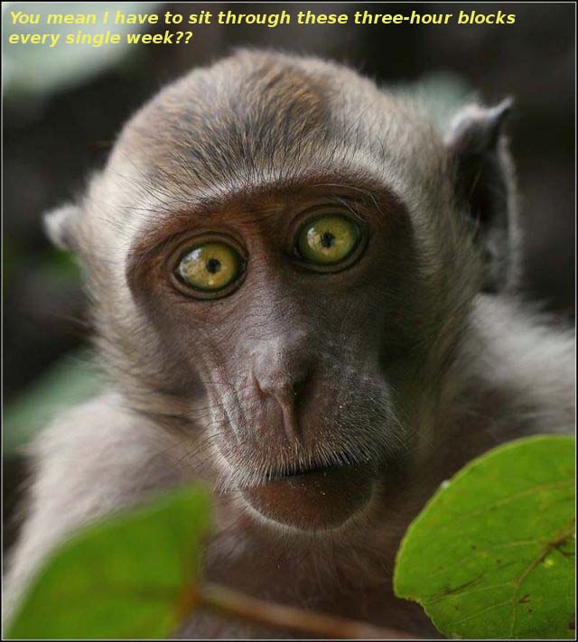 Mormon three hour blocks torture.