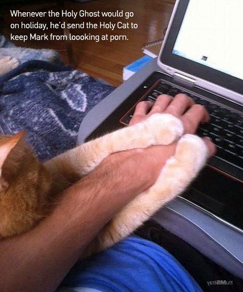 Holy Ghost and Holy Cat by Stray Mutt.