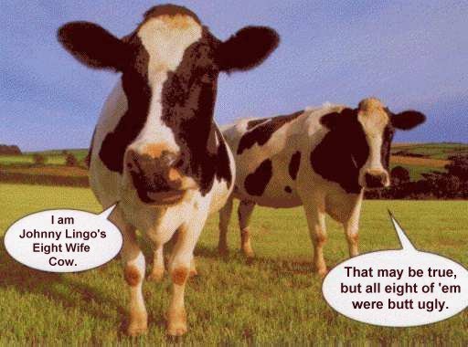 Mormon Johnny Lingo 8 cow wife.