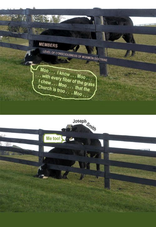 Moo Moo Mormons screwed by Joseph Smith.